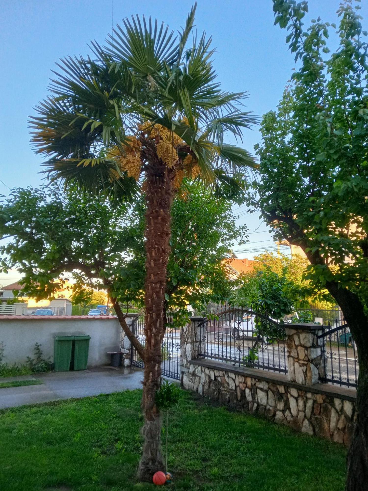 Apartman Zafirovi Gevgelija Exteriör bild